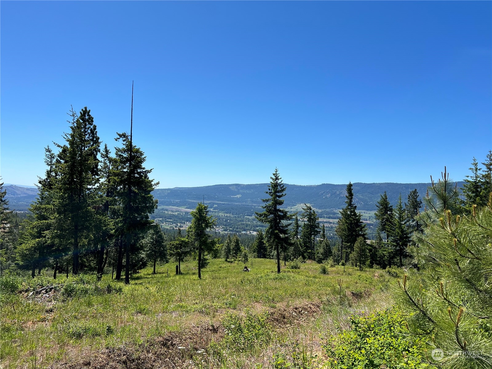 2520 Big Tail Road Cle Elum, WA 98922 - Photo 13 of 24 Gallery Image 13