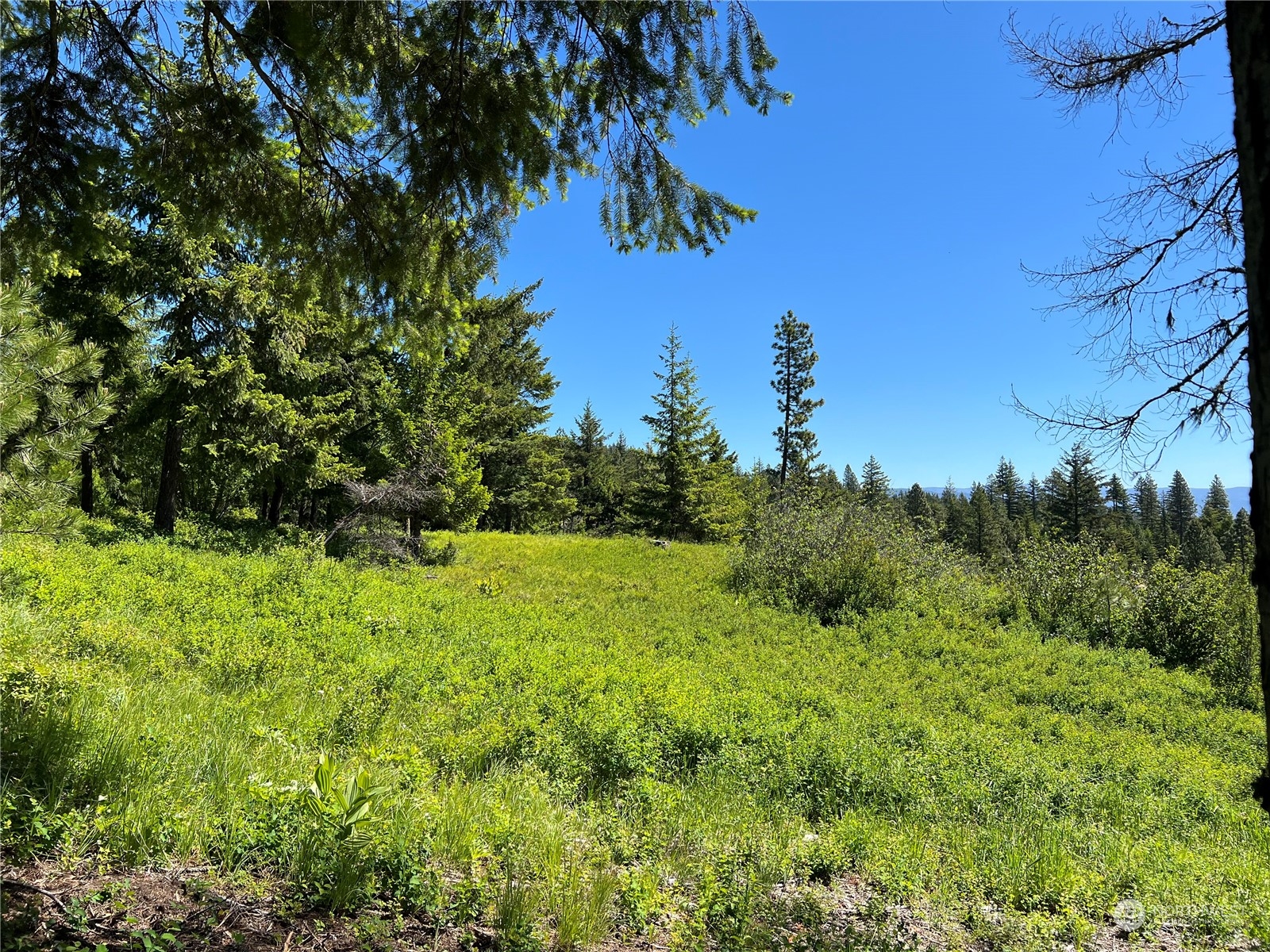 2520 Big Tail Road Cle Elum, WA 98922 - Photo 15 of 24 Gallery Image 15