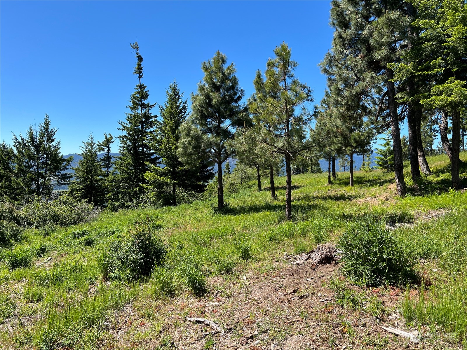 2520 Big Tail Road Cle Elum, WA 98922 - Photo 16 of 24 Gallery Image 16