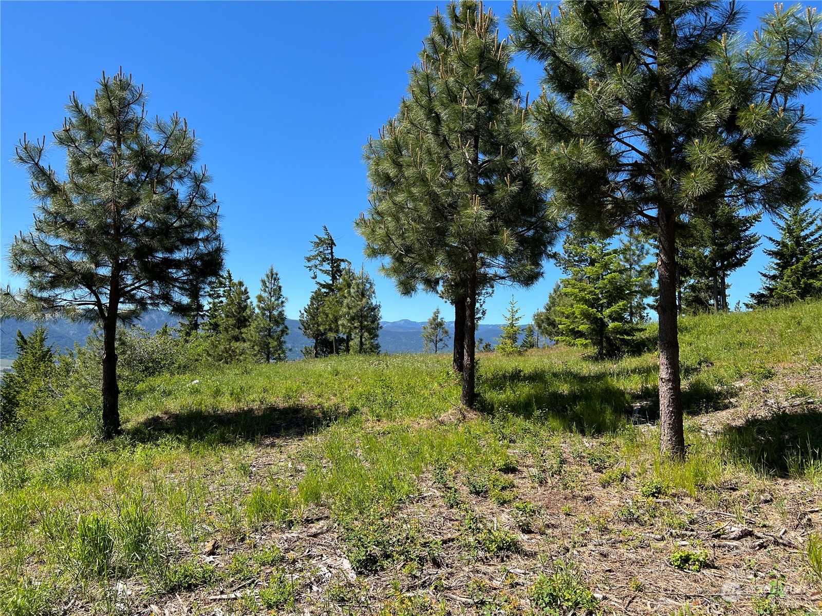 2520 Big Tail Road Cle Elum, WA 98922 - Photo 17 of 24 Gallery Image 17