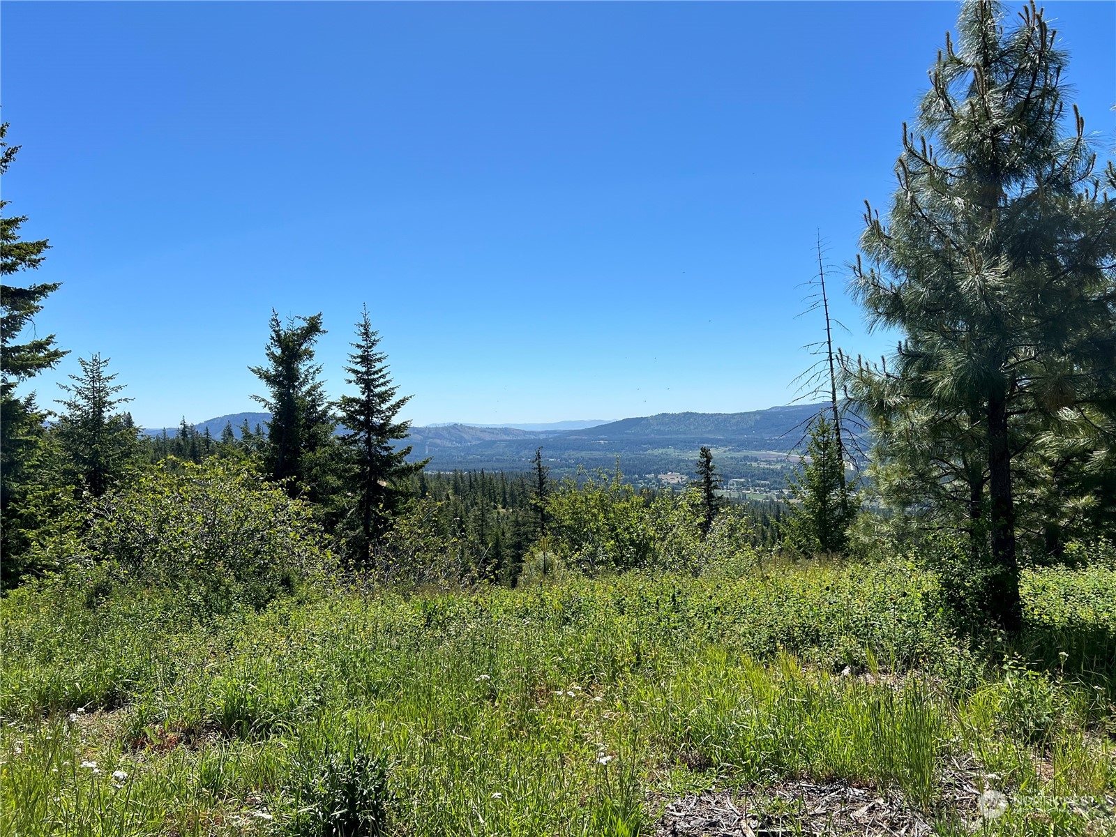 2520 Big Tail Road Cle Elum, WA 98922 - Photo 18 of 24 Gallery Image 18