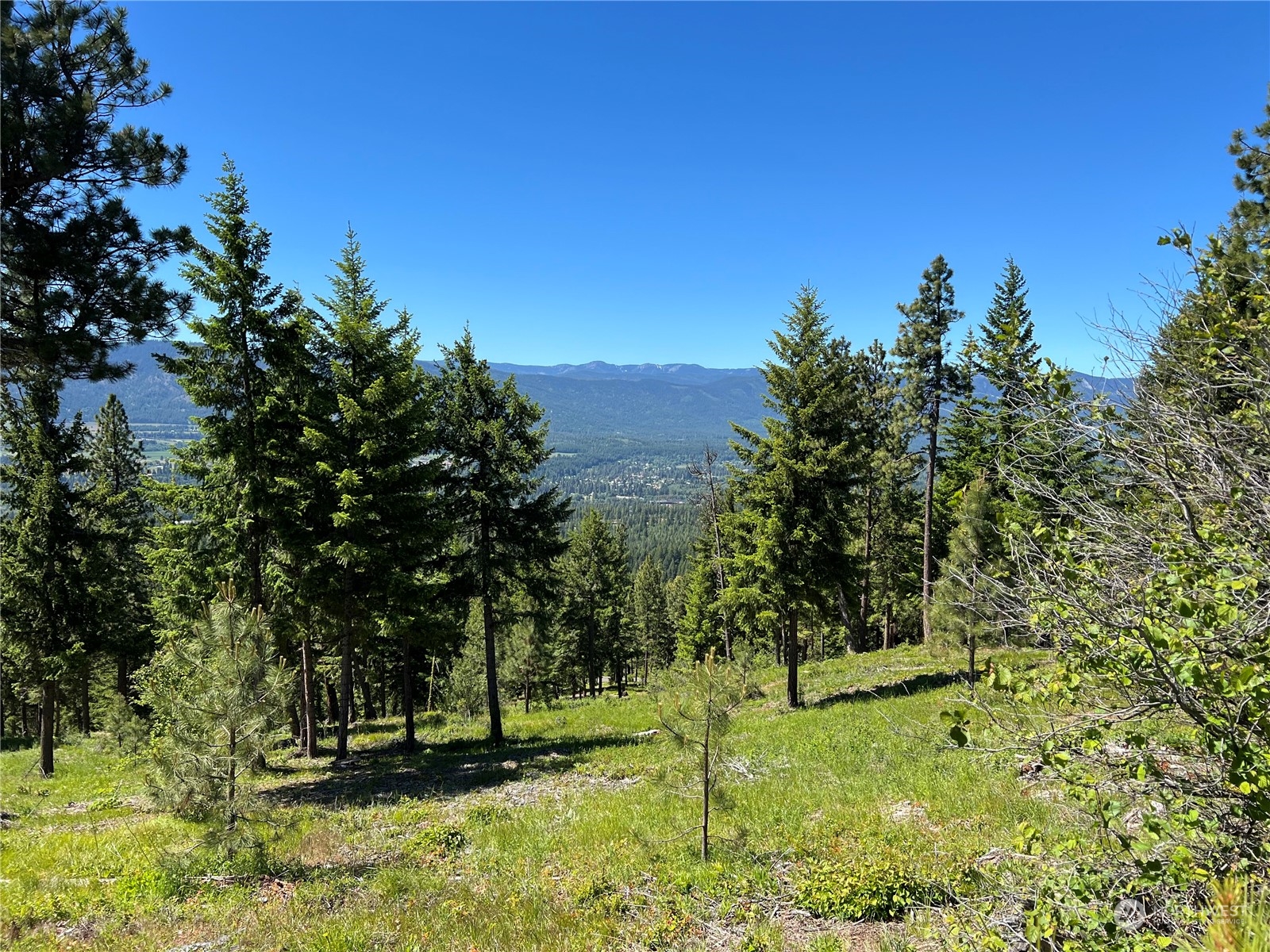 2520 Big Tail Road Cle Elum, WA 98922 - Photo 19 of 24 Gallery Image 19