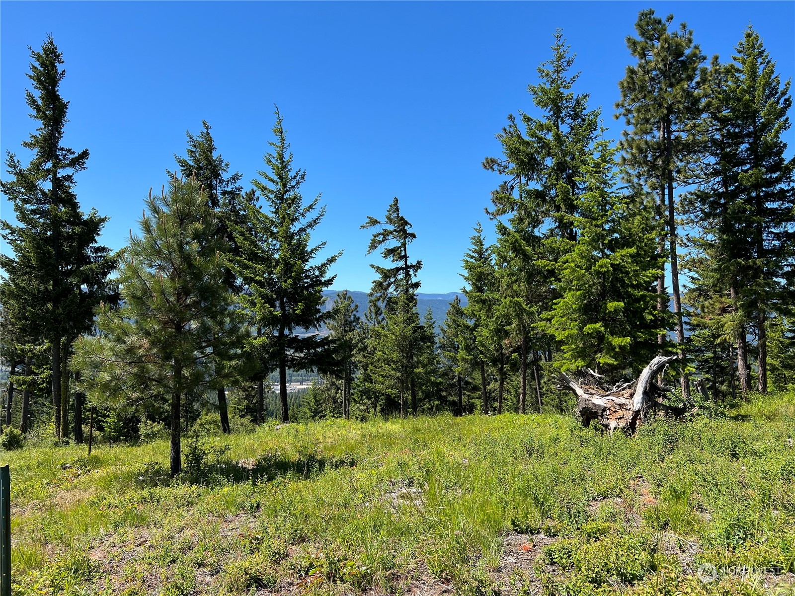 2520 Big Tail Road Cle Elum, WA 98922 - Photo 21 of 24 Gallery Image 21