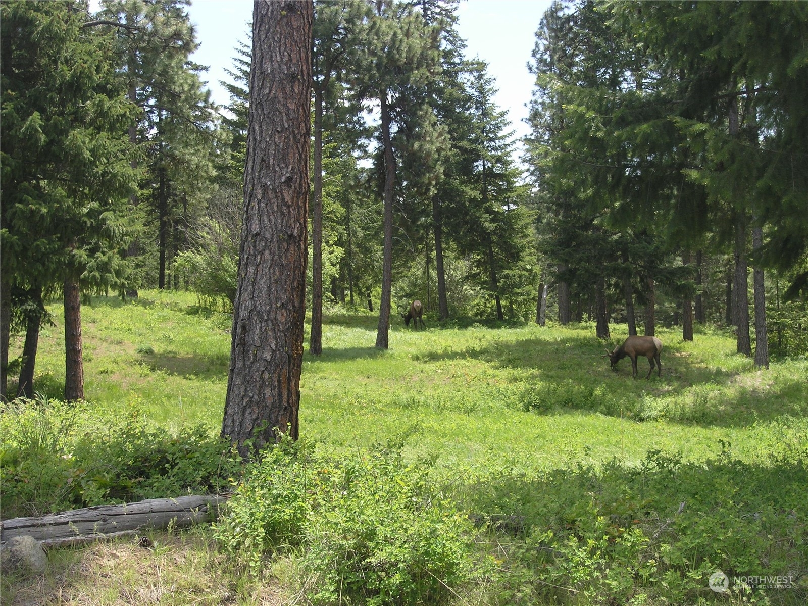 2520 Big Tail Road Cle Elum, WA 98922 - Photo 23 of 24 Gallery Image 23
