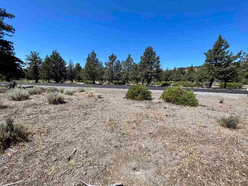 0 Sherwood Road Weed, CA 96094 - Photo 7 of 8 Gallery Image 7
