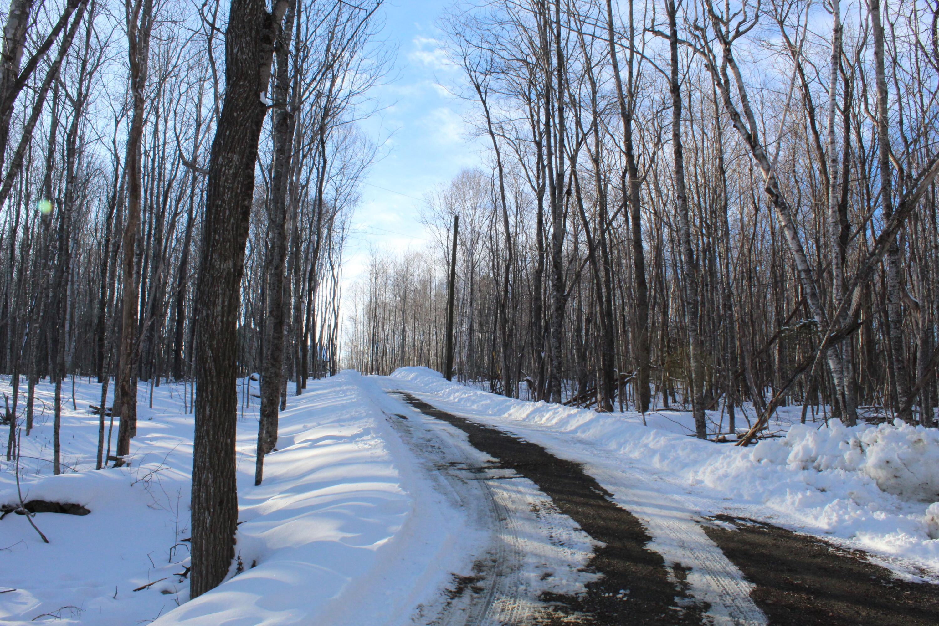 896 Moosehead Trail Highway Jackson, ME 04921 - Photo 11 of 53 Driveway 1