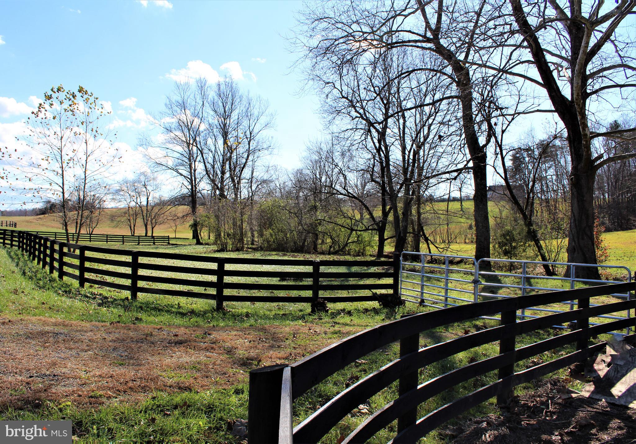 0 Reva Farms Lane Reva, VA 22735 - Photo 12 of 43
