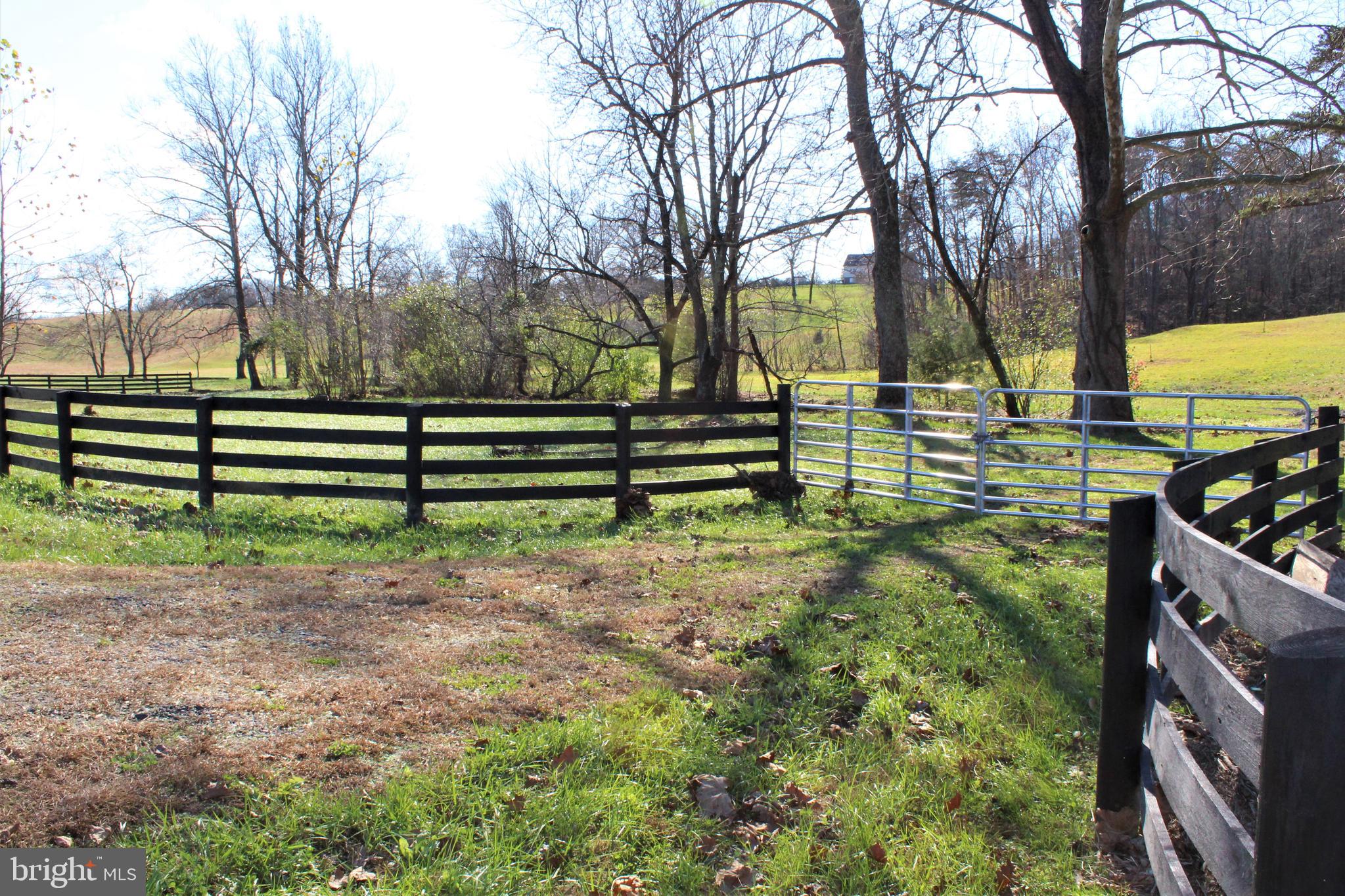 0 Reva Farms Lane Reva, VA 22735 - Photo 13 of 43