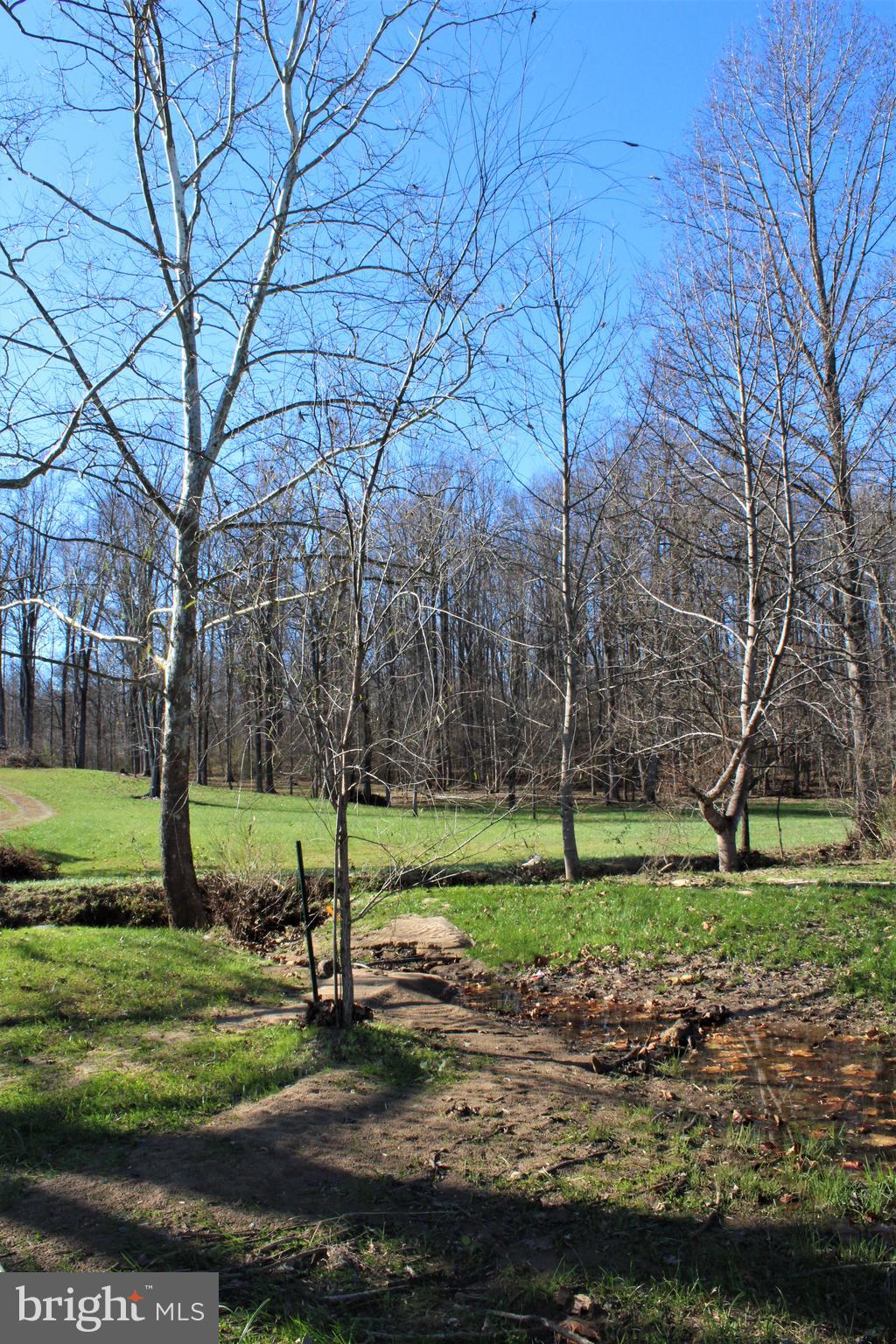 0 Reva Farms Lane Reva, VA 22735 - Photo 15 of 43