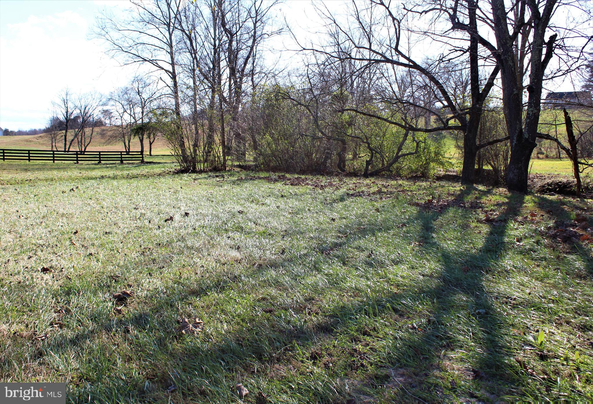 0 Reva Farms Lane Reva, VA 22735 - Photo 16 of 43