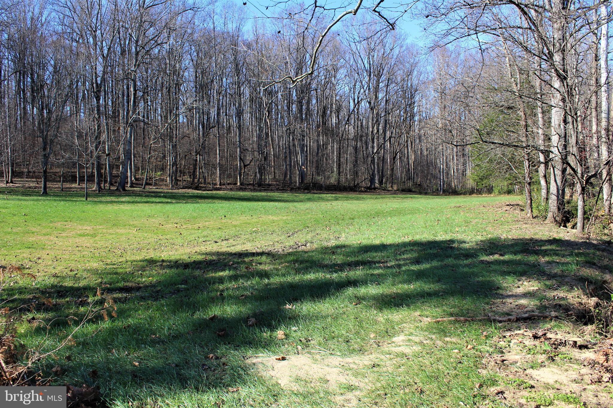 0 Reva Farms Lane Reva, VA 22735 - Photo 18 of 43