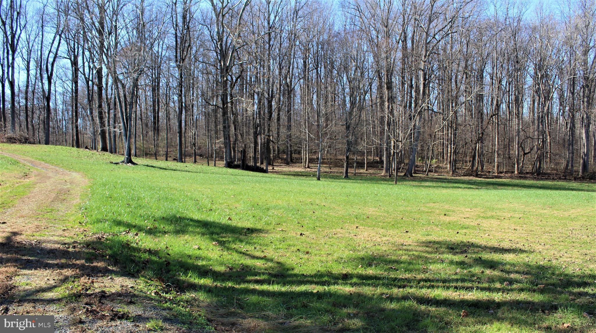 0 Reva Farms Lane Reva, VA 22735 - Photo 19 of 43