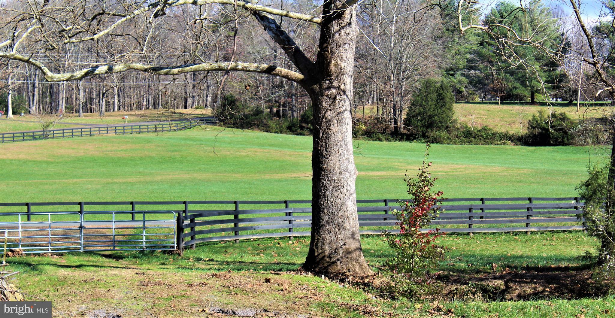 0 Reva Farms Lane Reva, VA 22735 - Photo 21 of 43