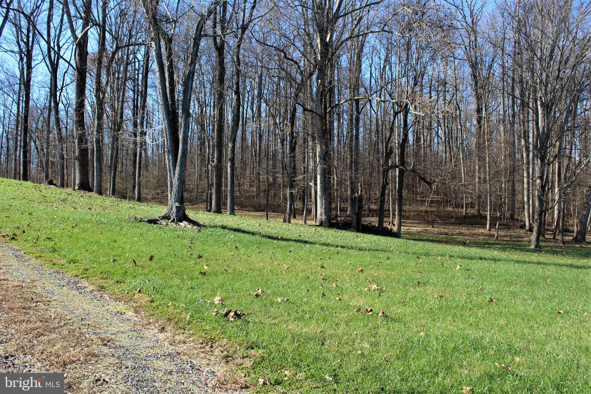 0 Reva Farms Lane Reva, VA 22735 - Photo 23 of 43