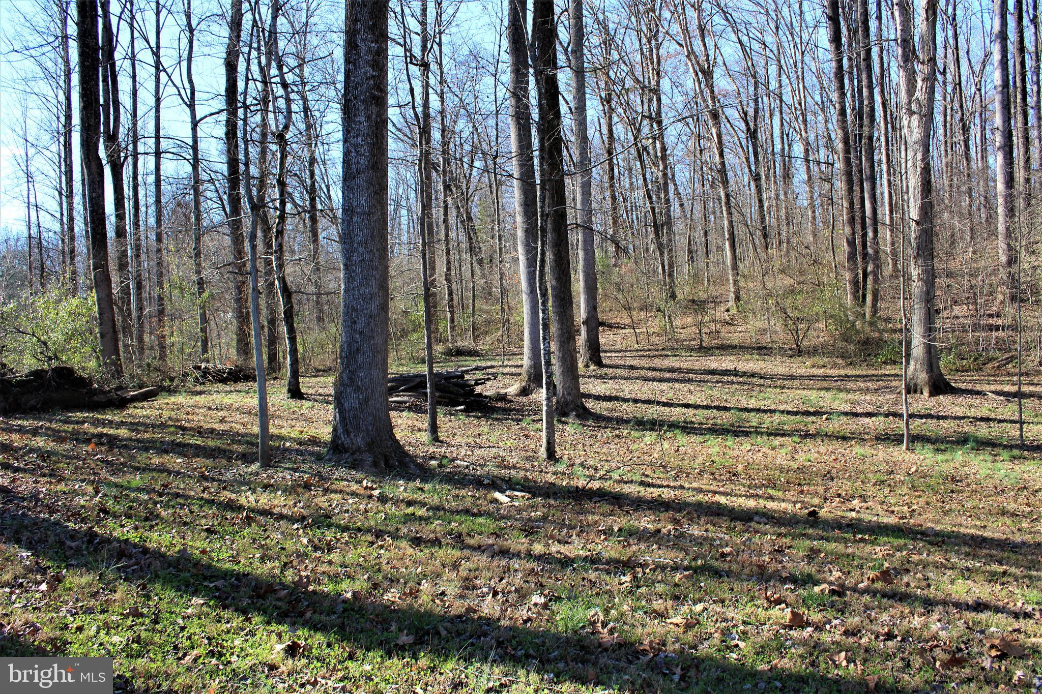 0 Reva Farms Lane Reva, VA 22735 - Photo 26 of 43