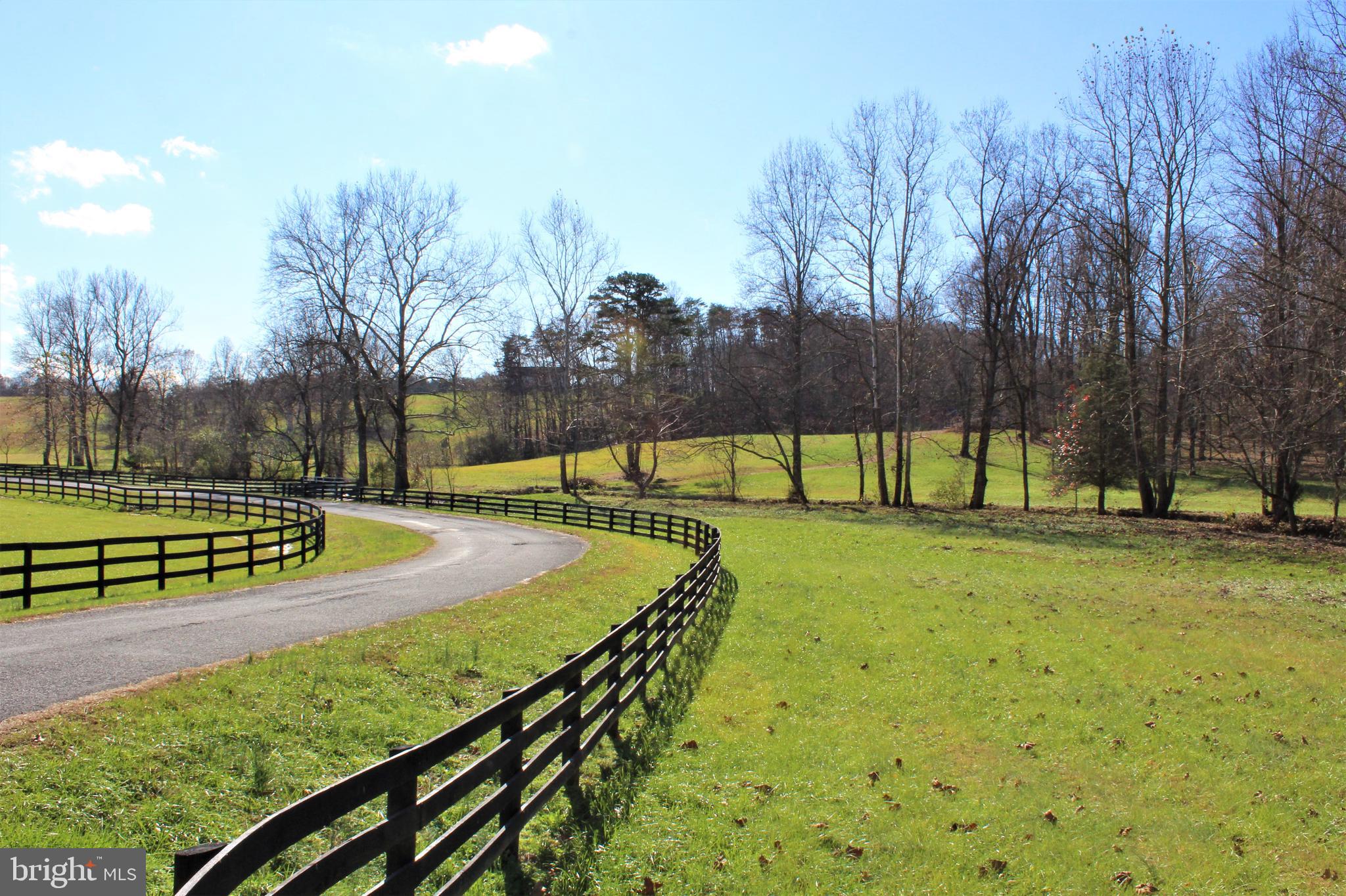 0 Reva Farms Lane Reva, VA 22735 - Photo 4 of 43