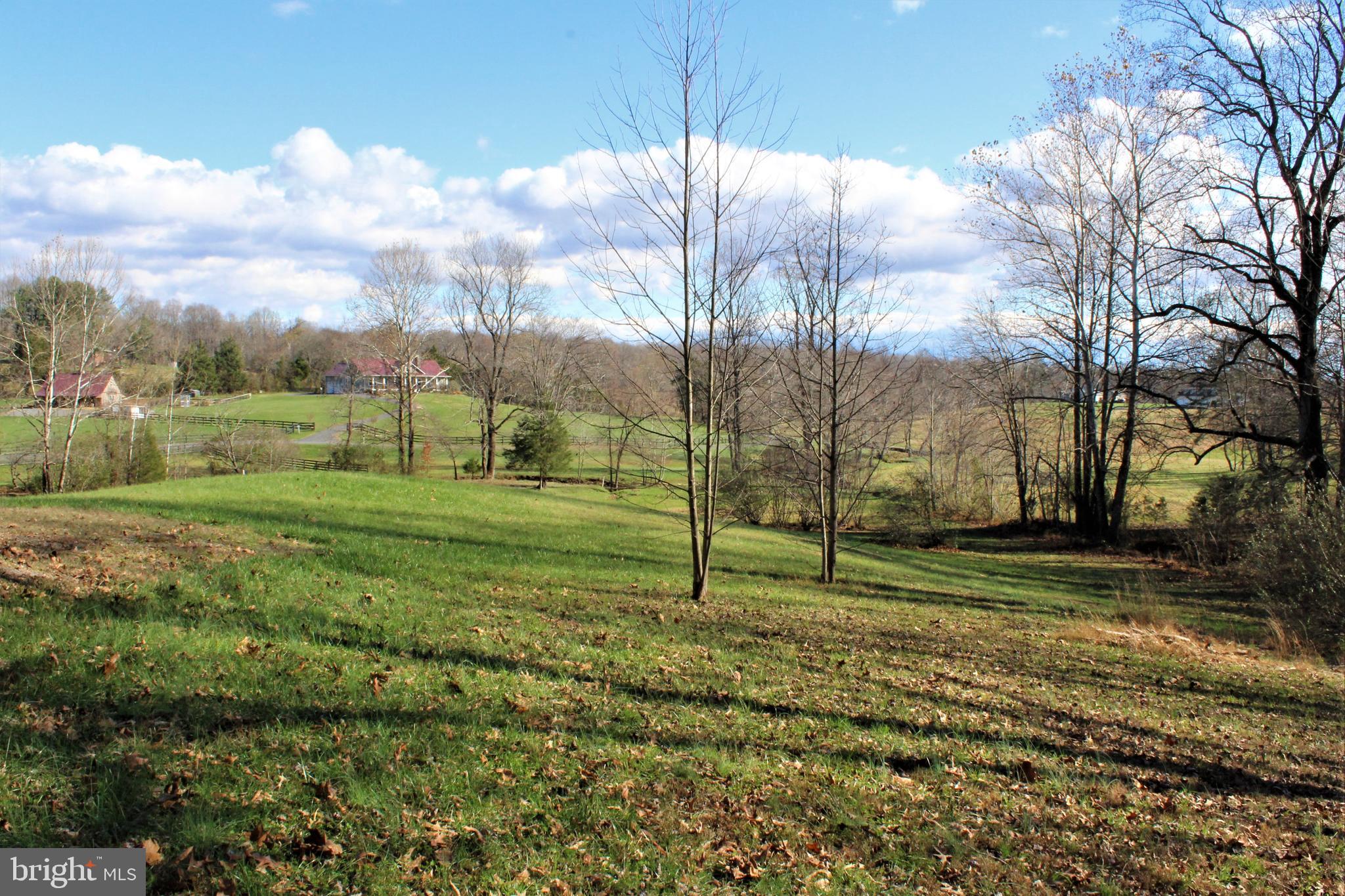 0 Reva Farms Lane Reva, VA 22735 - Photo 32 of 43
