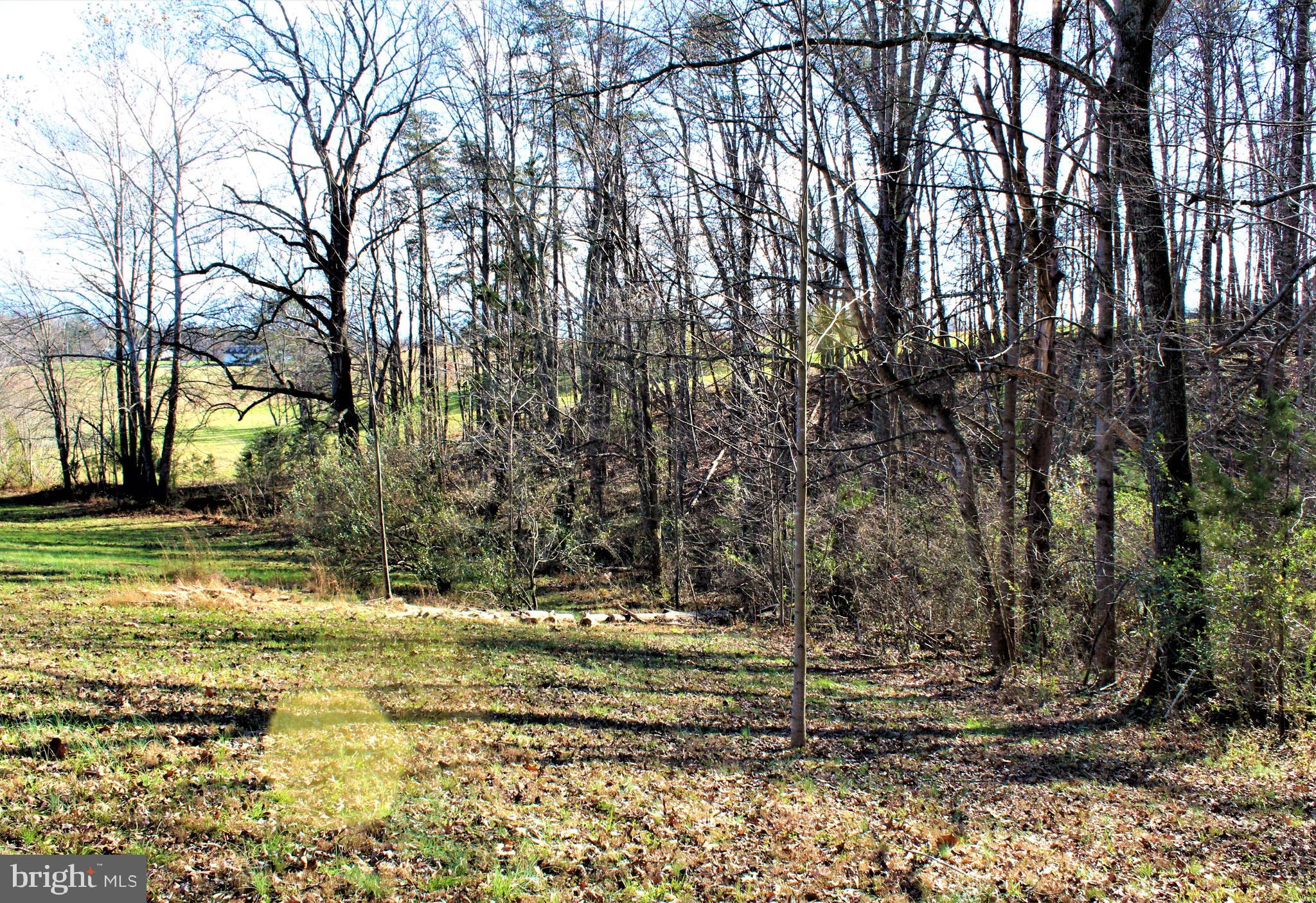 0 Reva Farms Lane Reva, VA 22735 - Photo 33 of 43