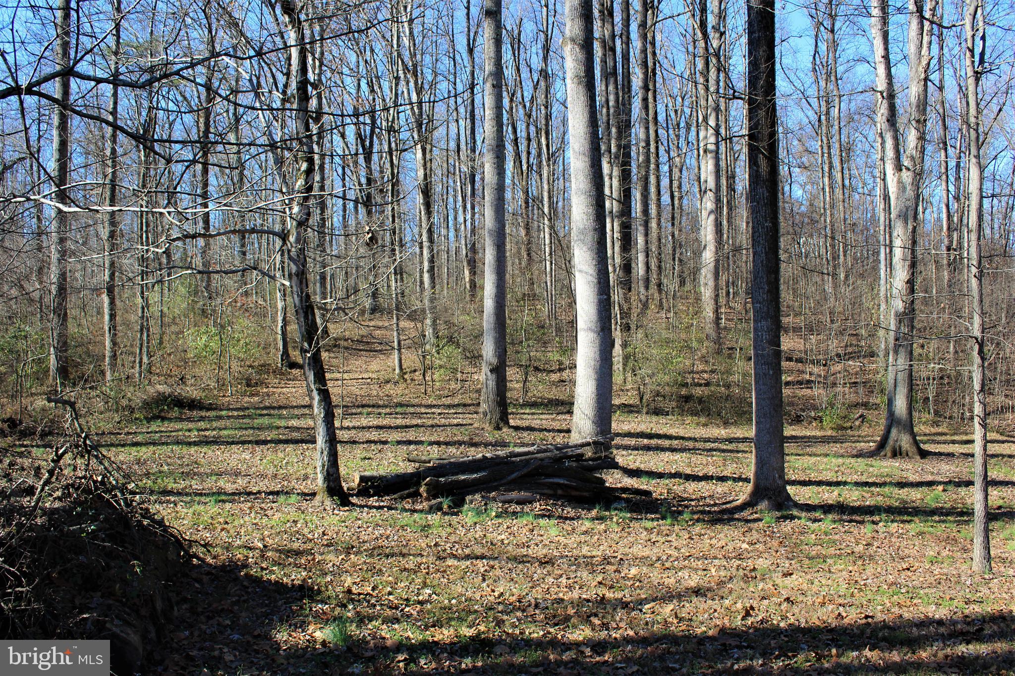 0 Reva Farms Lane Reva, VA 22735 - Photo 35 of 43