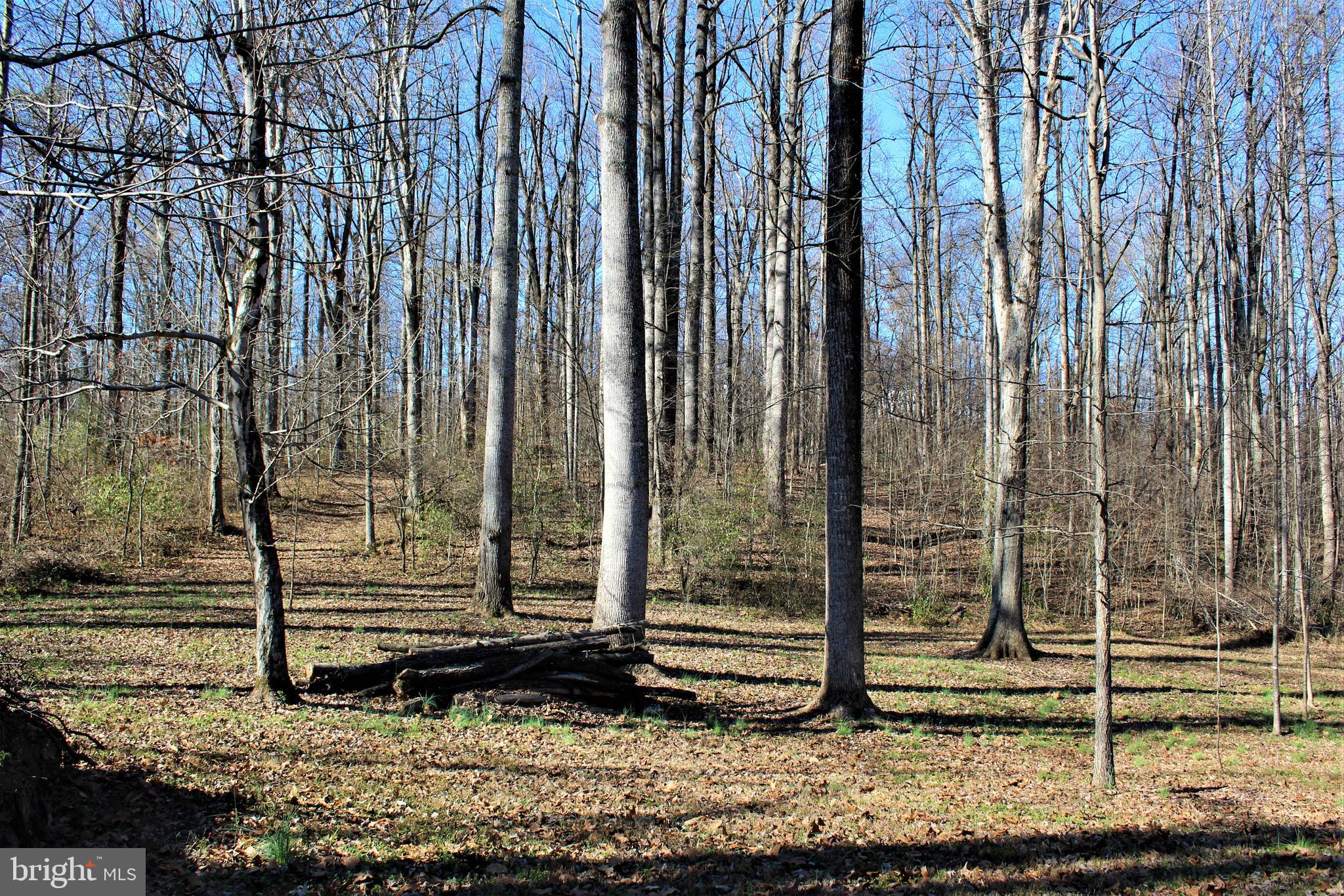 0 Reva Farms Lane Reva, VA 22735 - Photo 36 of 43