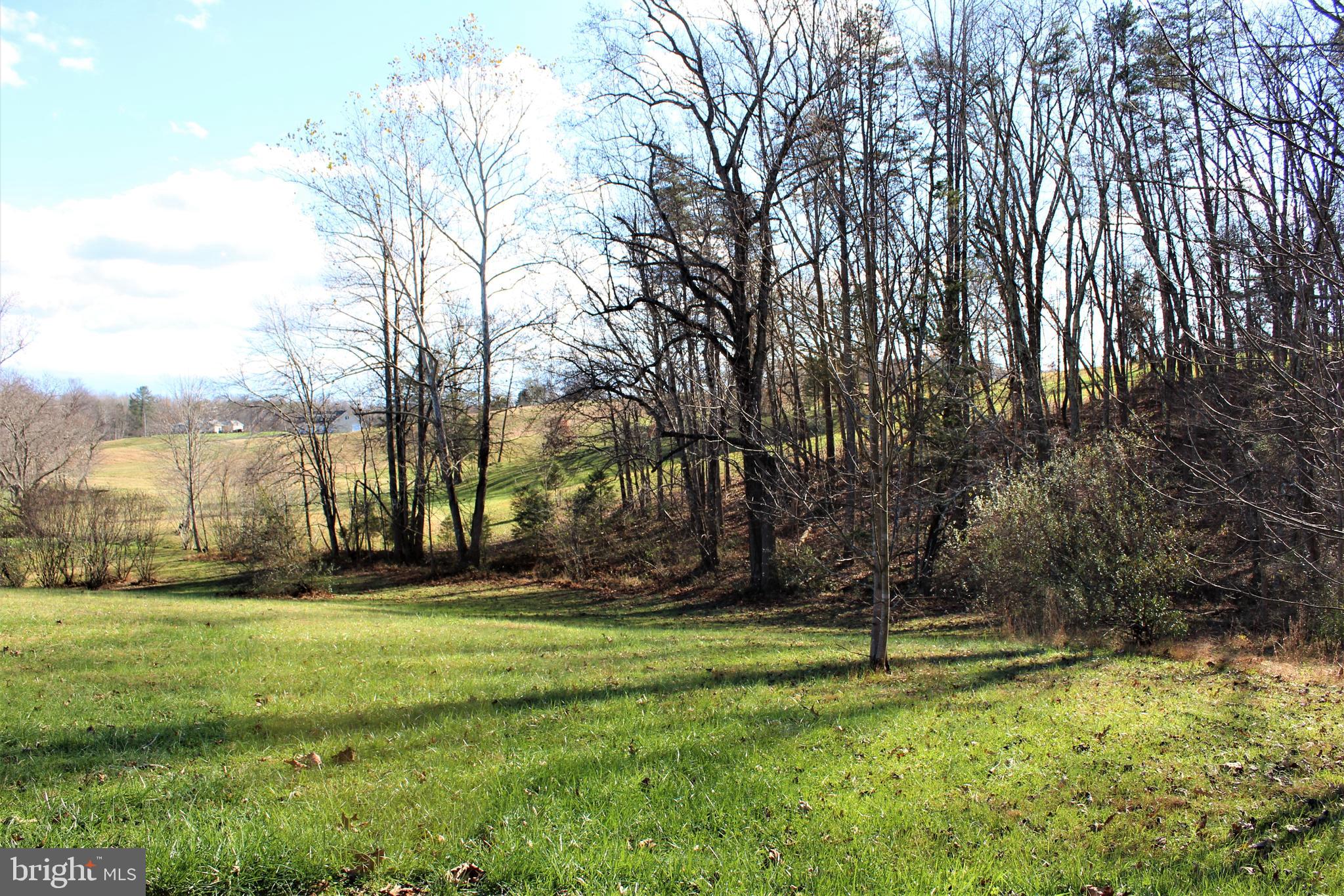 0 Reva Farms Lane Reva, VA 22735 - Photo 38 of 43