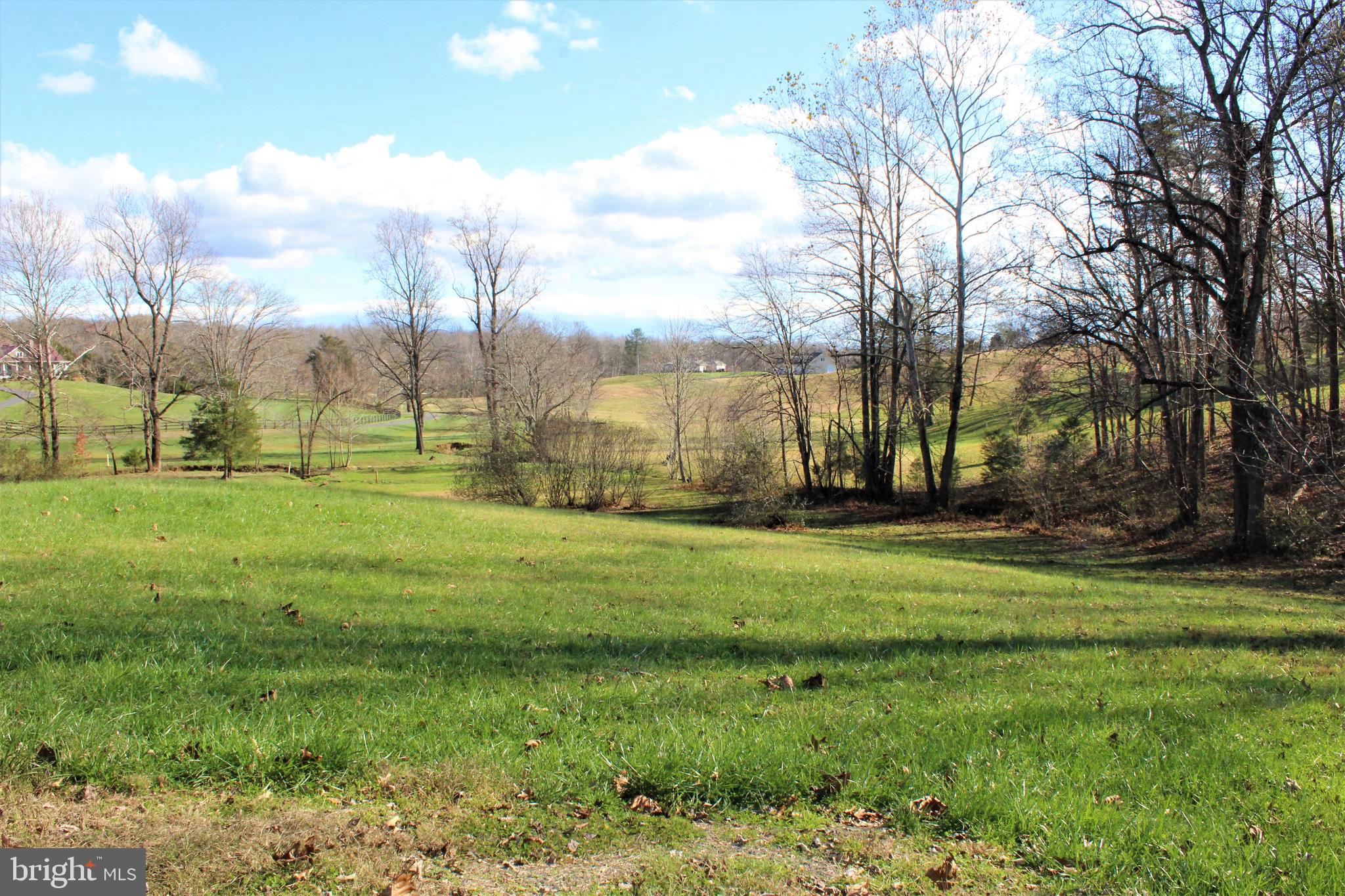 0 Reva Farms Lane Reva, VA 22735 - Photo 39 of 43