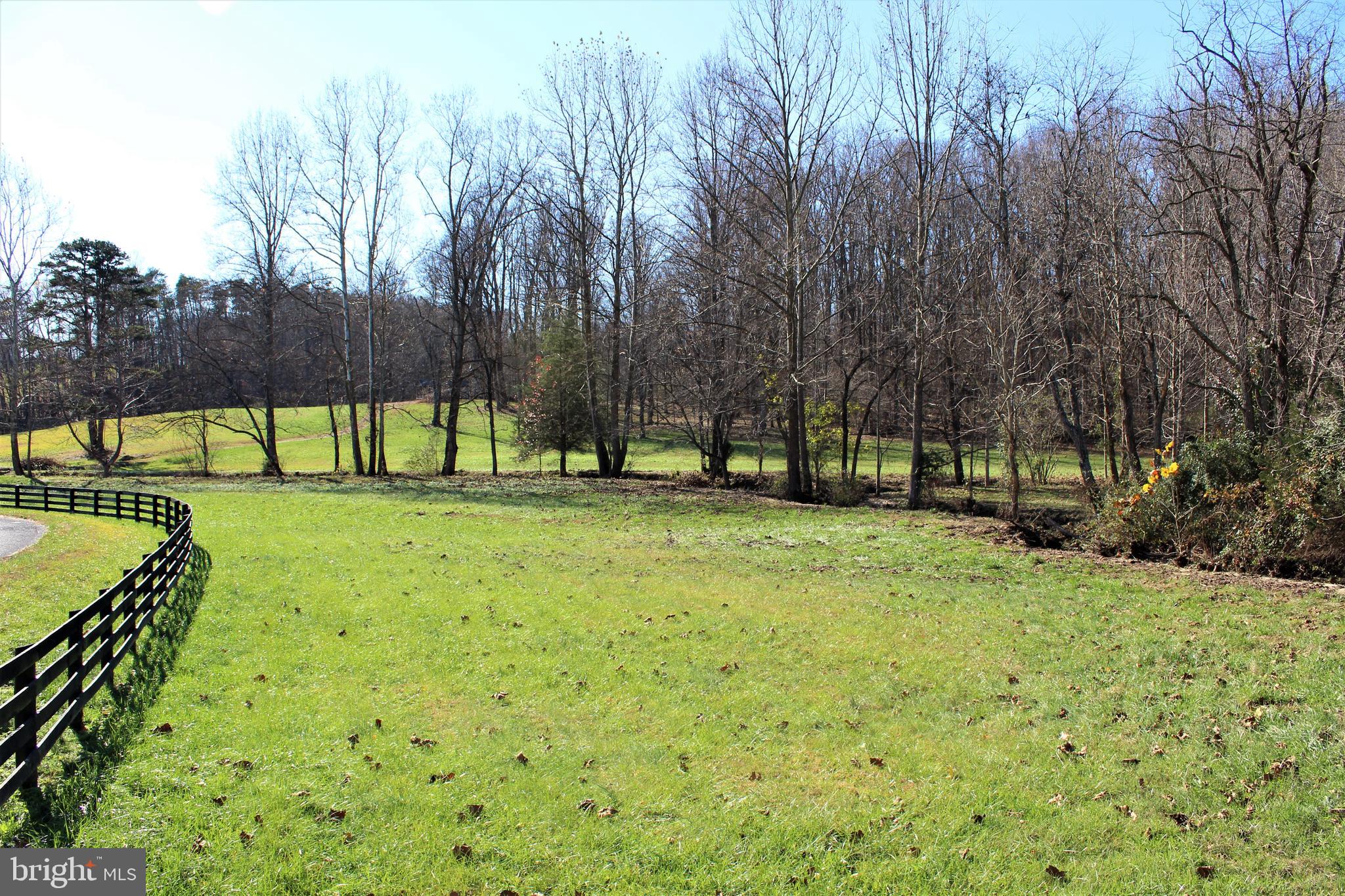 0 Reva Farms Lane Reva, VA 22735 - Photo 5 of 43