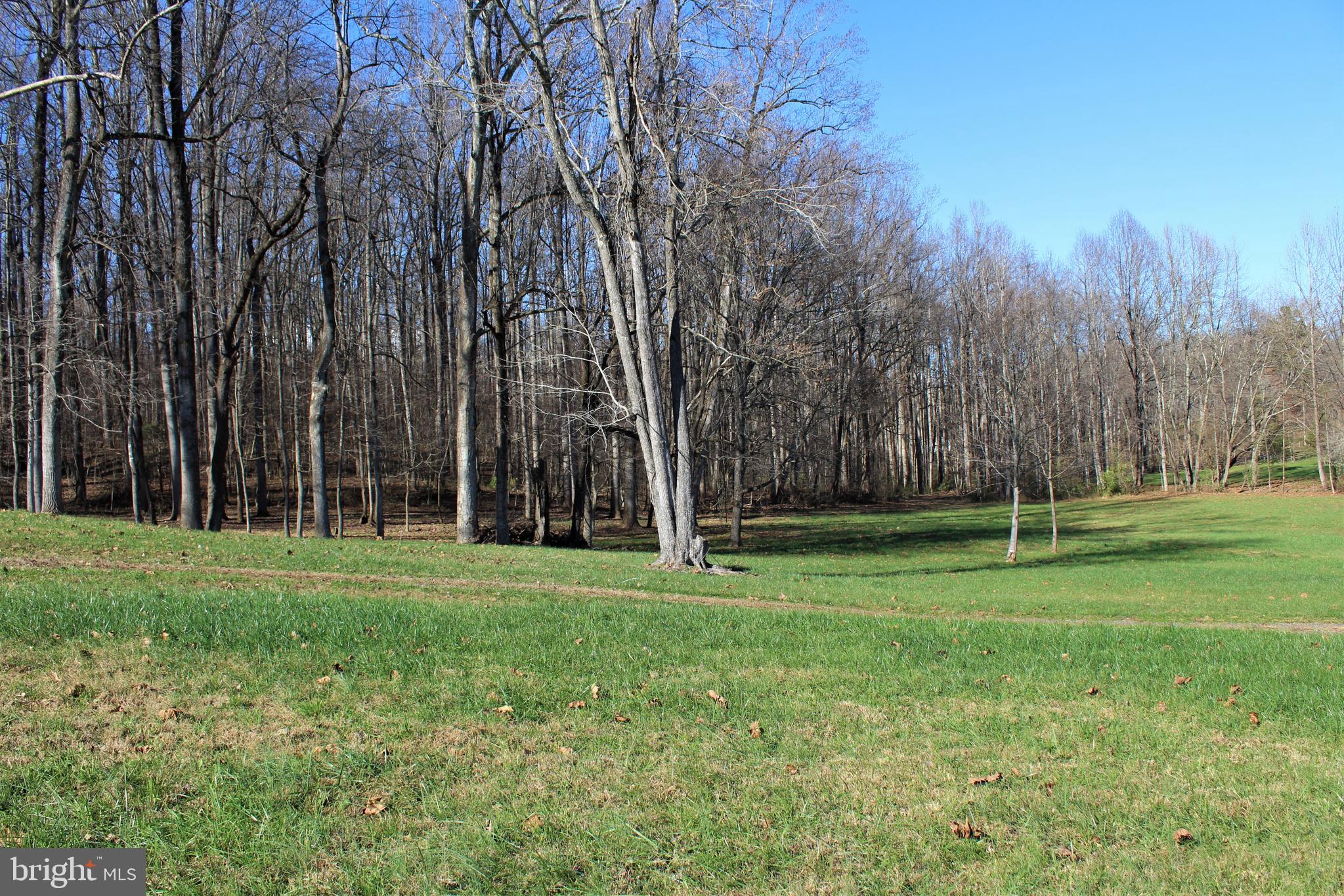 0 Reva Farms Lane Reva, VA 22735 - Photo 42 of 43