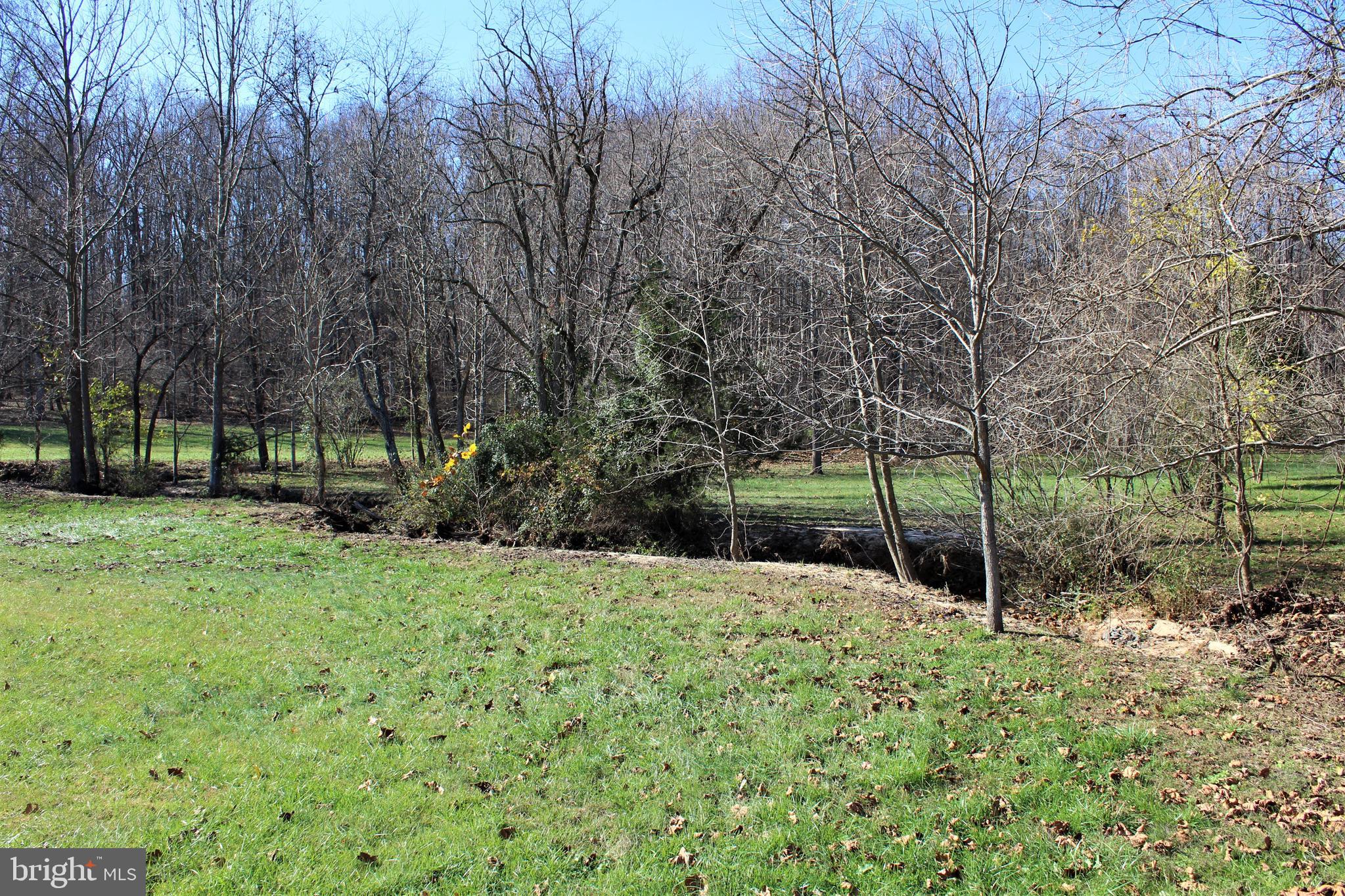 0 Reva Farms Lane Reva, VA 22735 - Photo 6 of 43
