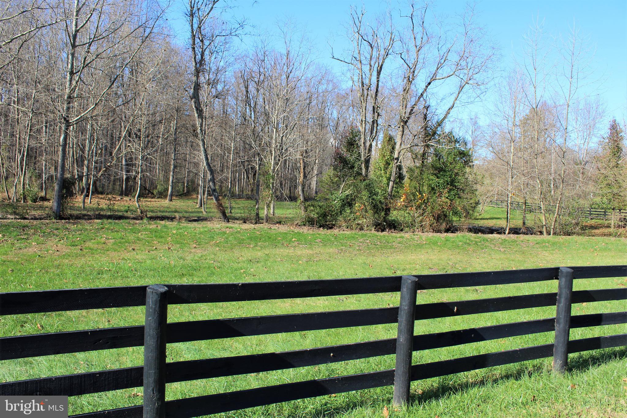 0 Reva Farms Lane Reva, VA 22735 - Photo 8 of 43