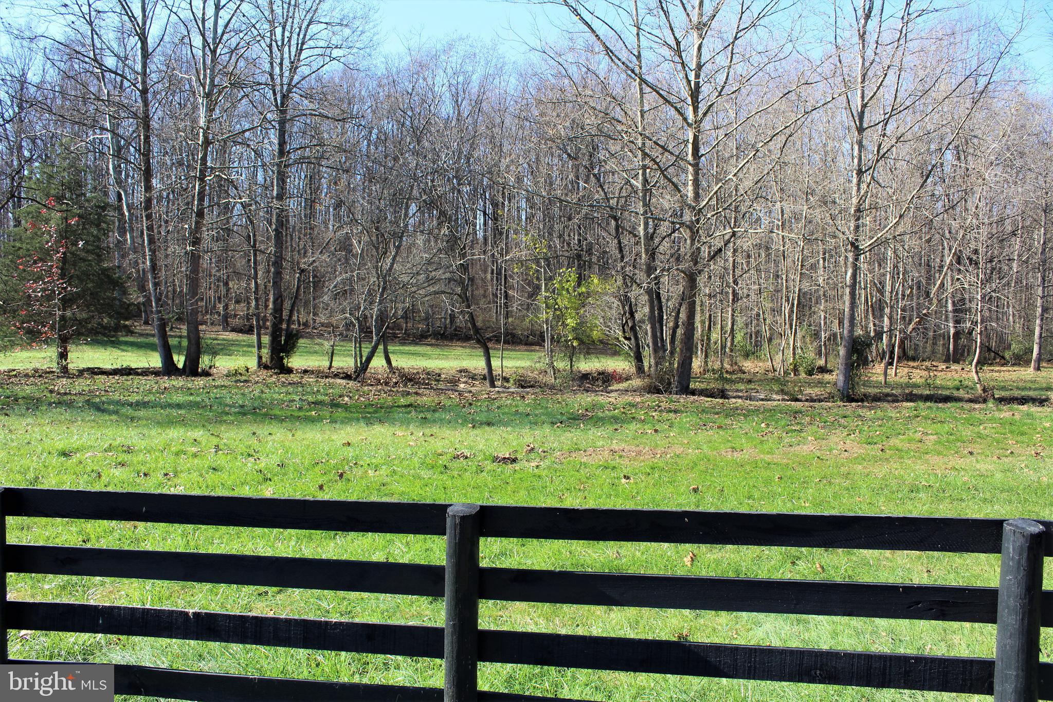 0 Reva Farms Lane Reva, VA 22735 - Photo 9 of 43