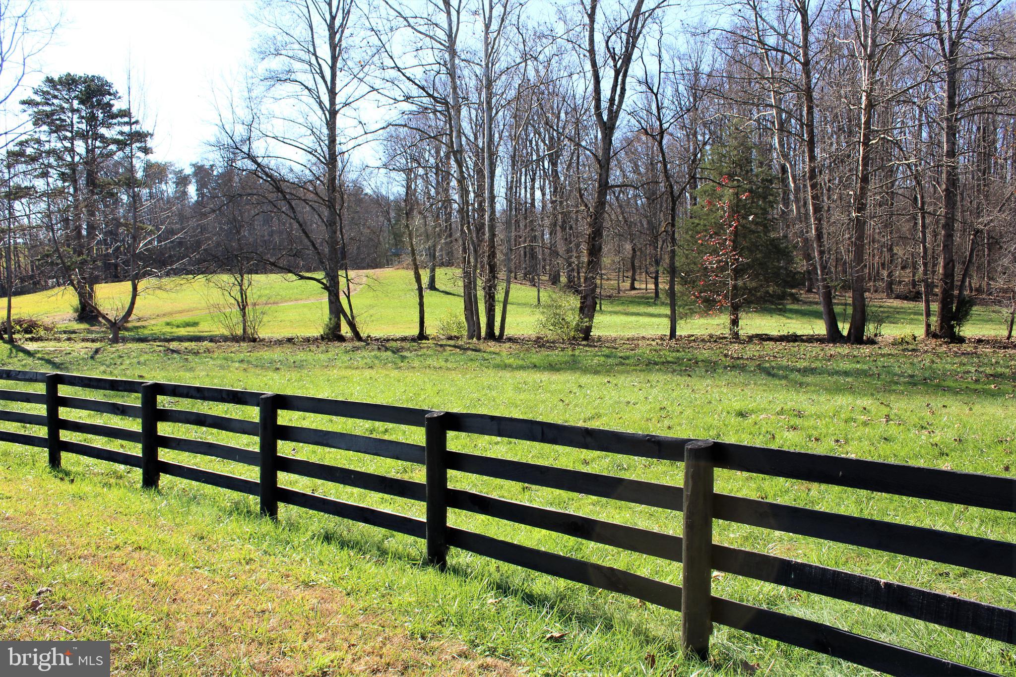 0 Reva Farms Lane Reva, VA 22735 - Photo 10 of 43