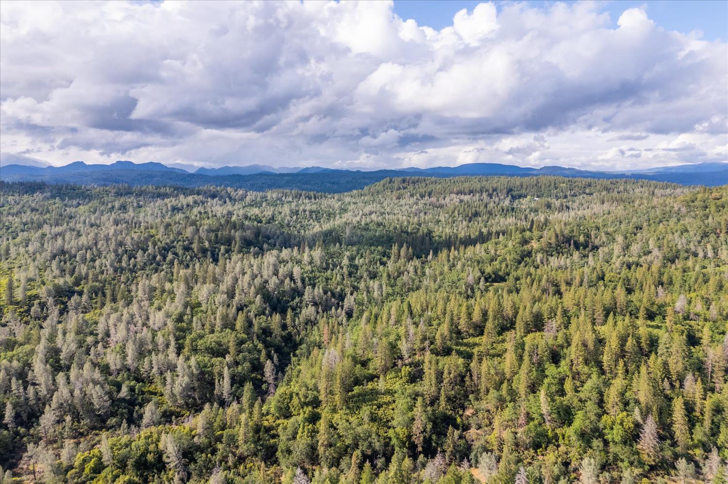 0 Donkey Mine Road Oak Run, CA 96069 - Photo 15 of 19 a view of a city