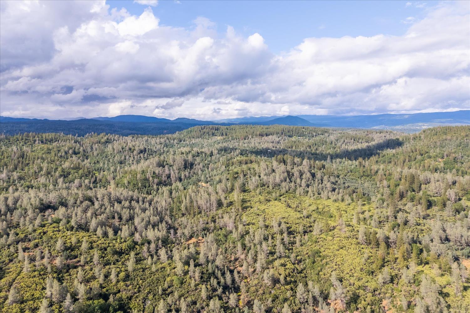 0 Donkey Mine Road Oak Run, CA 96069 - Photo 18 of 19 a view of a city