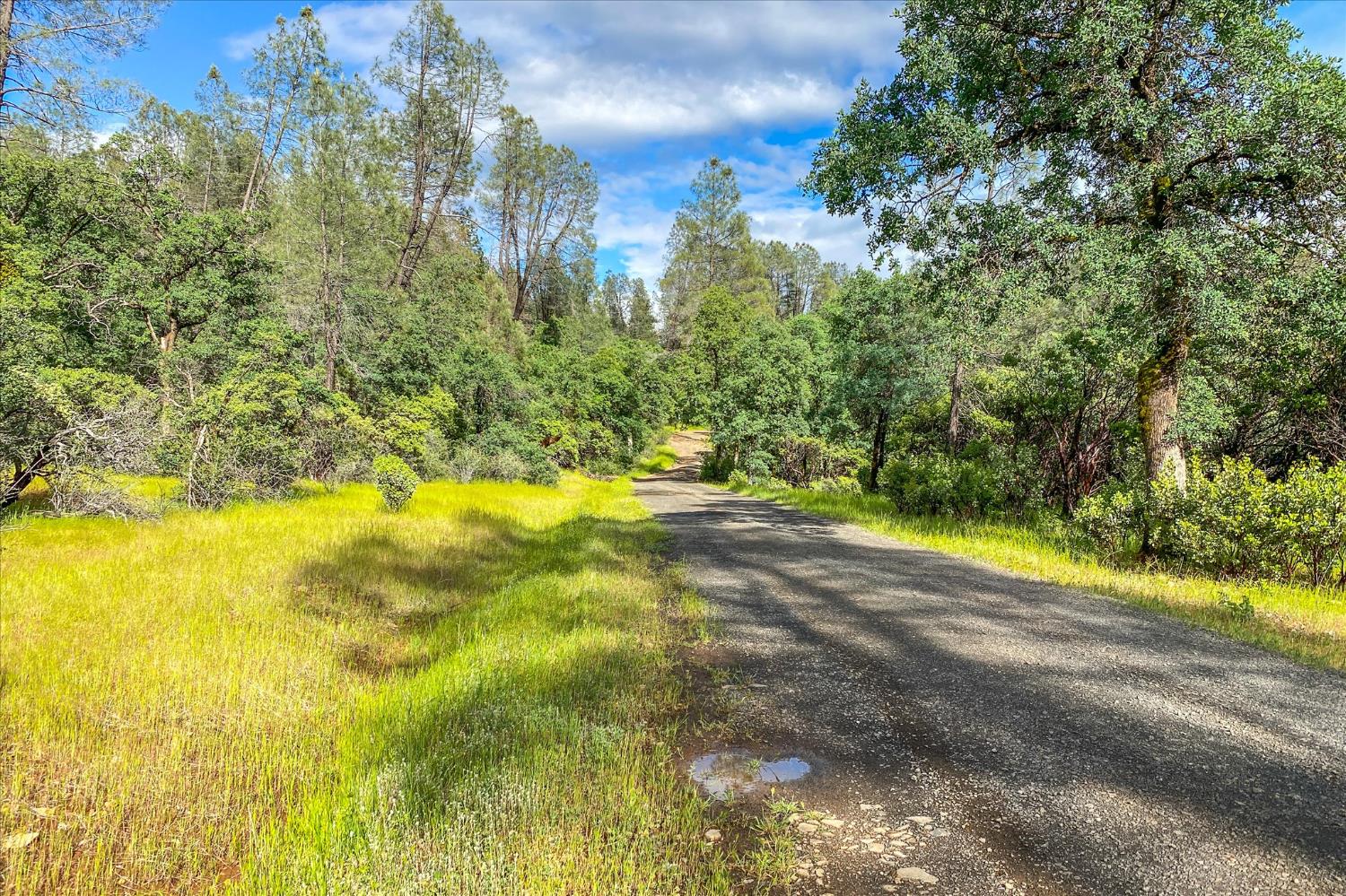 0 Donkey Mine Road Oak Run, CA 96069 - Photo 4 of 19 a view of yard with green space