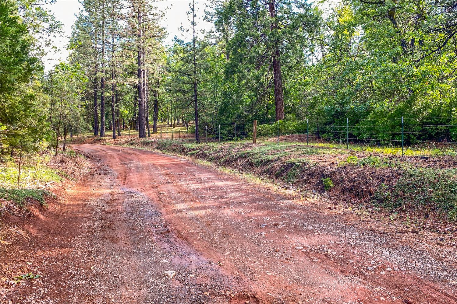 0 Donkey Mine Road Oak Run, CA 96069 - Photo 5 of 19 a view of a yard with trees