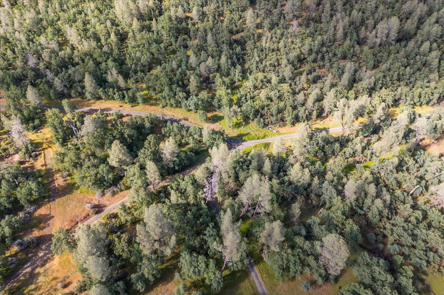 0 Donkey Mine Road Oak Run, CA 96069 - Photo 7 of 19 a view of a field of grass and trees