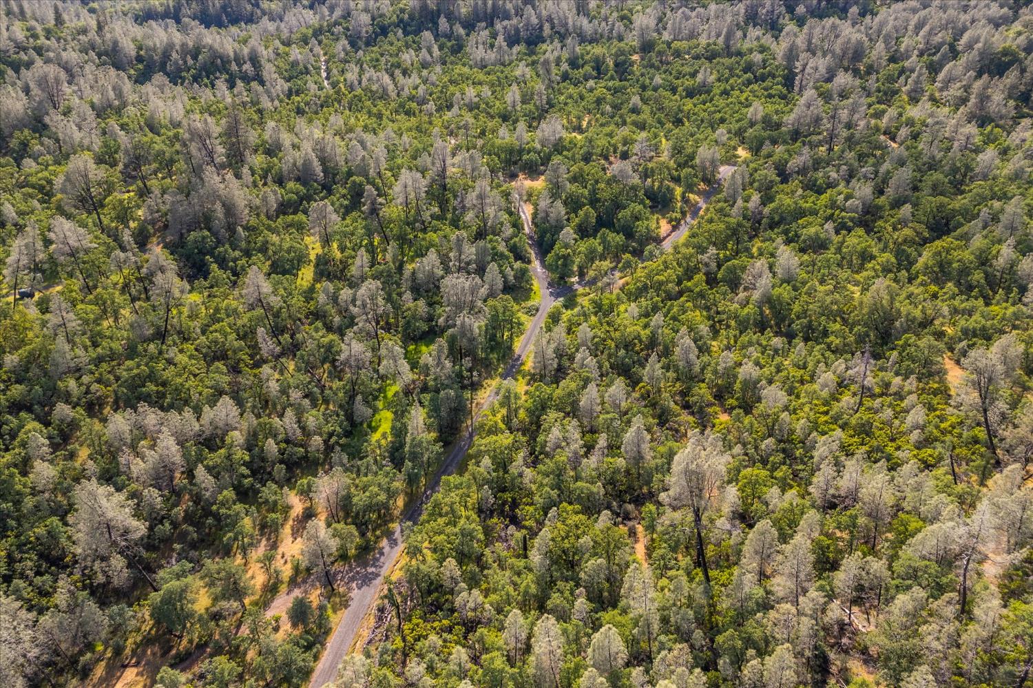 0 Donkey Mine Road Oak Run, CA 96069 - Photo 9 of 19 a view of a field