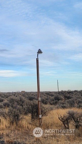 565 Snaffle Court Ephrata, WA 98823 - Photo 2 of 40 a view of a dry yard with a tree