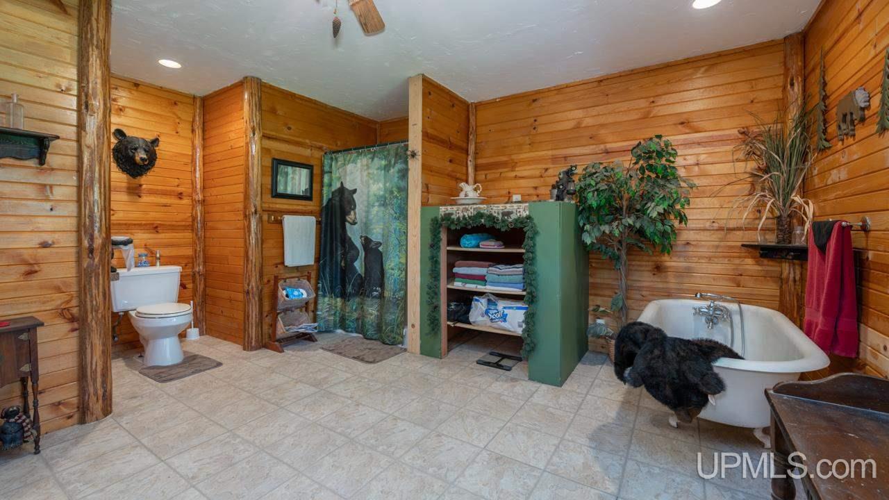 N10843 County Road 577 Daggett, MI 49821 - Photo 19 of 32