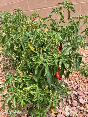 $590,000 | 9321 West Sells Drive, Phoenix, AZ 85037