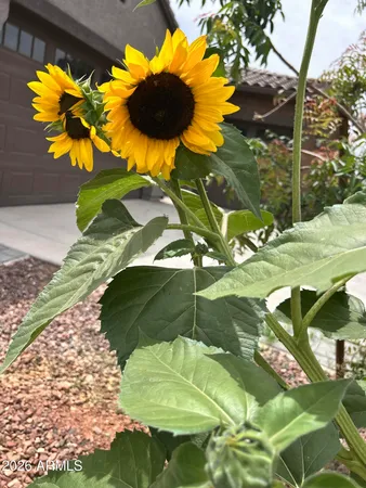 $590,000 | 9321 West Sells Drive, Phoenix, AZ 85037