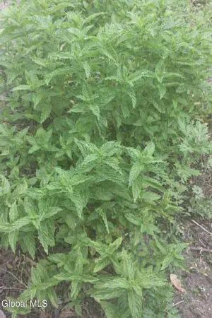 $375,000 | 161 Doris Street, Esopus, NY 12466