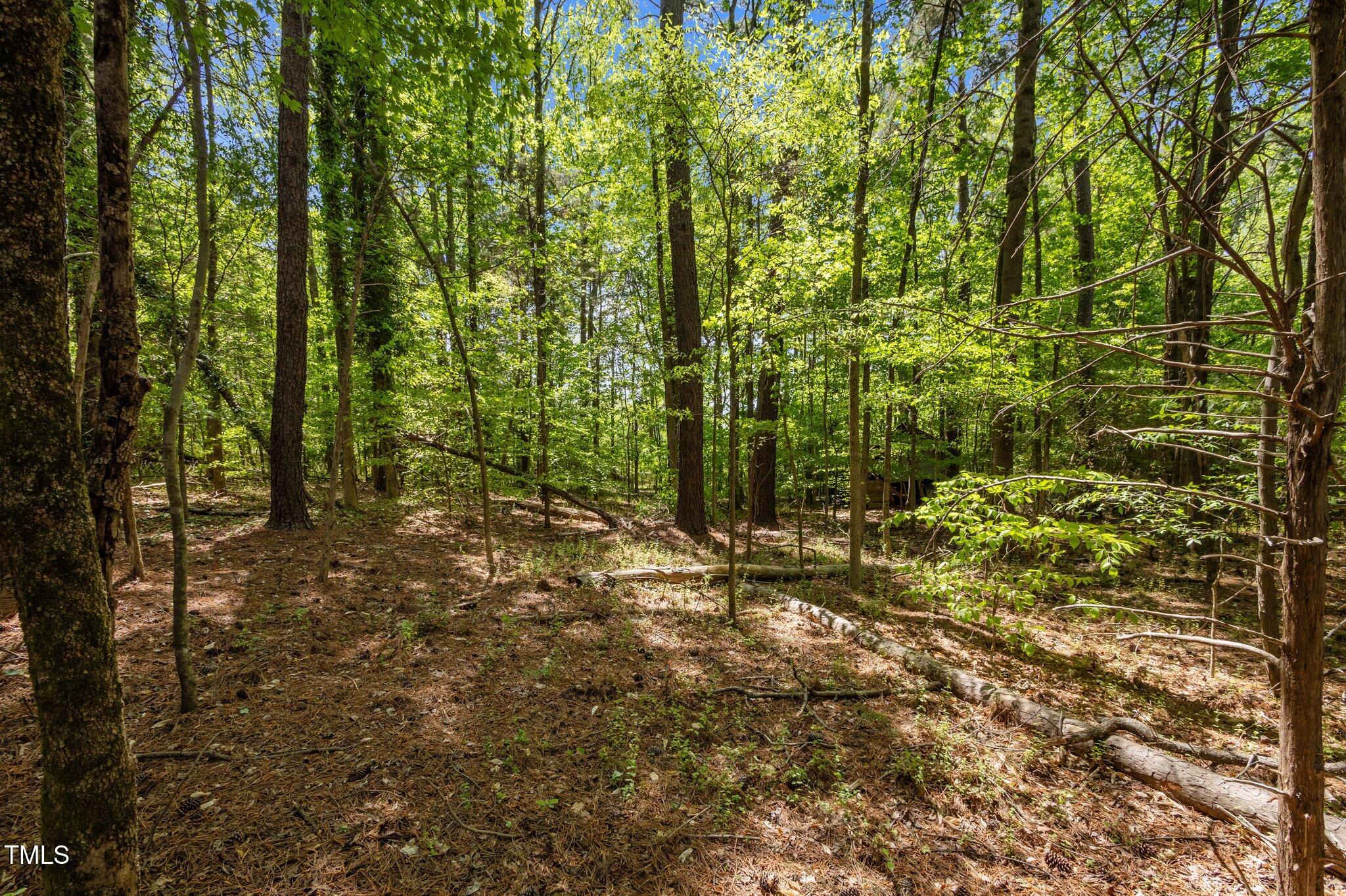 1595 Ned Moore Road Timberlake, NC 27583 - Photo 8 of 14 13-web-or-mls-P1037379