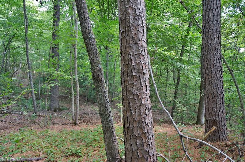 1656 Old Glendon Road Carthage, NC 28327 - Photo 4 of 11