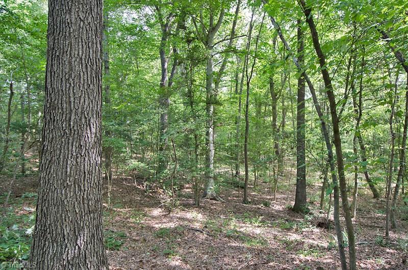 1656 Old Glendon Road Carthage, NC 28327 - Photo 8 of 11