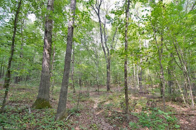 1656 Old Glendon Road Carthage, NC 28327 - Photo 10 of 11
