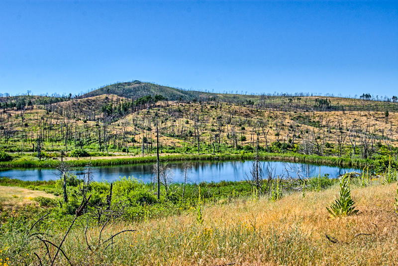 Rock Creek Road Manton, CA 96003 - Photo 11 of 63 manton-111