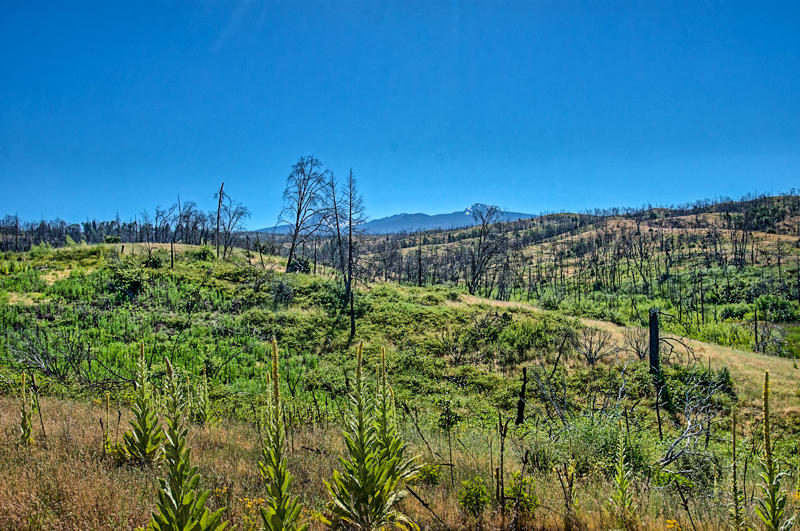 Rock Creek Road Manton, CA 96003 - Photo 14 of 63 manton-114