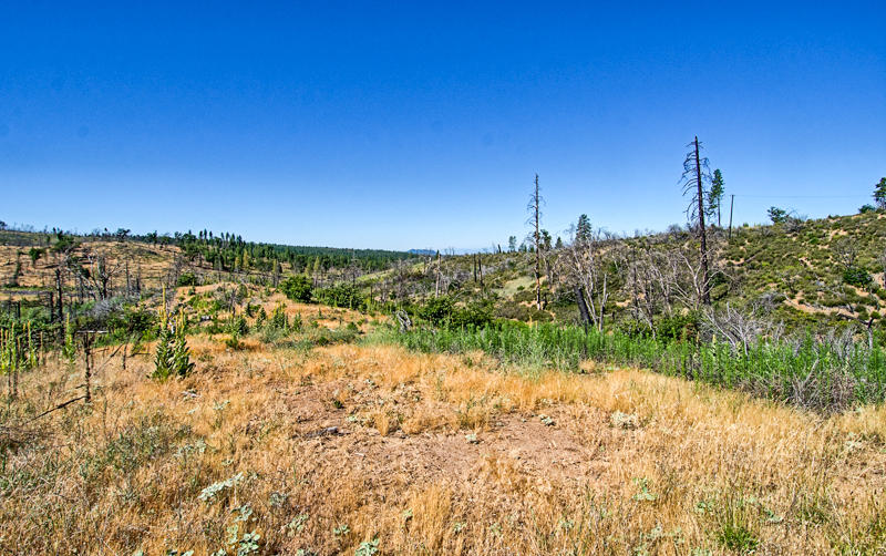 Rock Creek Road Manton, CA 96003 - Photo 22 of 63 manton-206